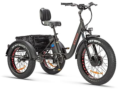 Tecnobike Shop Bici Bicicletta Elettrica Pedalata Assistita Triciclo Bicicletta Elettrica Z-TECH ZT-80-A FAT TRIKE 3 Ruote 250W 13 Ah 48V Batteria Litio e-Bike con Pedali e-Bicycle (Nero Opaco)