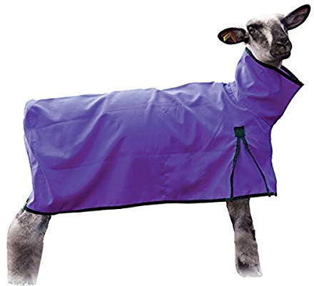 Sheep Blanket with Solid Butt, Large, Purple