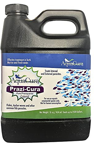 Prazi-Cura Liquid - Safest, Most Effective Parasite Treatment for Koi, and Aquarium Fish! Treats up to 2500 gallons.
