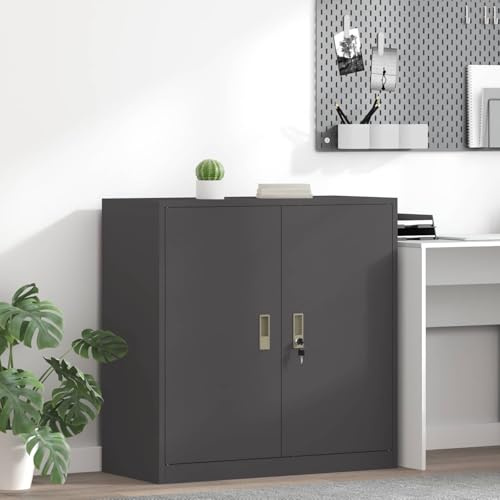INLIFE Armoire de Rangement Noir 90 x 40 x 90 cm Acier Laminé à Froid