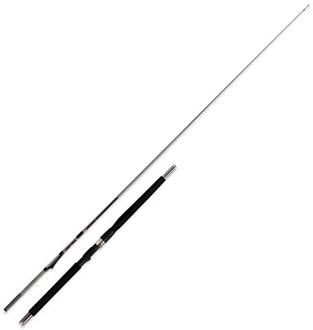 WFT Prion Inline 7' 2,10m 300-600g