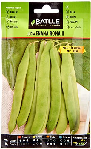 Semences horticoles de Batlle - Haricot nain Rome Perona (25g), Blanc