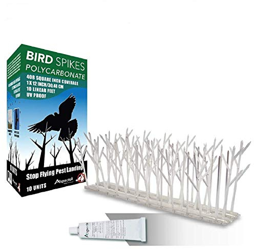 ASPECTEK Polycarbonate Bird Spikes Kit, 10 Feet with Strong Silicone Glue Tube Included