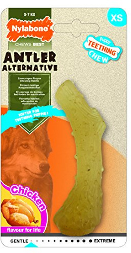 Nylabone Jouet à mâcher pour chiots qui font leurs dents, alternative au bois, arôme poulet, pour les tout petits chiens/chiots (jusqu’à 7 kg), mâchouilleurs paisibles/qui font leurs dents.