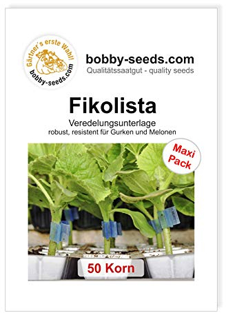 Fikolista Veredelungsunterlage von Bobby-Seeds 50 Korn