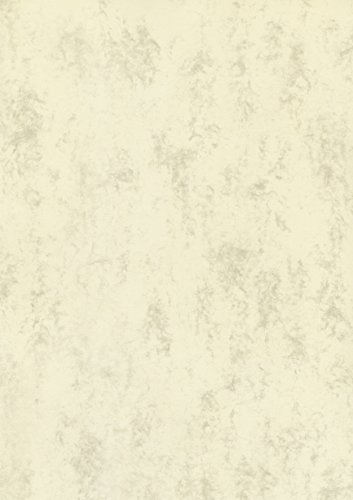 Brunnen Multifunktionell Universal A4-papper 160 GSM Chamois/marmorerad