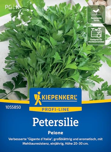 Kiepenkerl Profi-Line Petersiliensamen Peione 1055850 - verbesserter Gigante d´italia, großblättrig und aromatisch - Pflanzen Samen, Saatgut, Kräutersamen