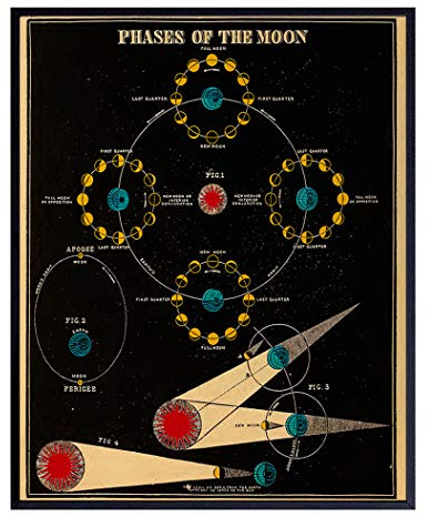 Astronomy Moon Phases Wall Art Print - 8x10 Vintage Lunar Home Decor, Astrological Room Decoration Poster - Cool Unique Gift for Planetary Astrology Fans - Unframed Photo Picture