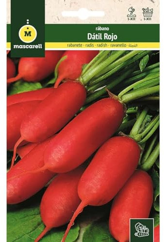 Mascarell Semillas, RÁBANO, Semillas Huerto, RABANITO MEDIO LARGO ROJO - DATIL ROJO, Crea tu Propio Huerto Urbano y Cultivo en Casa, Plantas Hortícolas, 14 Gramos