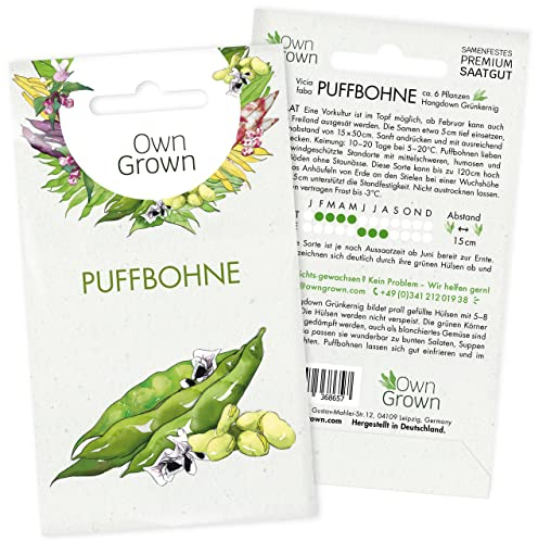 Bohnen Samen Buschbohne: flachhülsige Buschbohnen Samen für 6 wüchsige Bohnen Pflanzen - Gemüse Saatgut Bohnen – Samen Gemüse Samen – OwnGrown