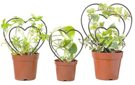 Plantas en maceta enrejadas, marco de soporte para plantas de jardín, diseño decorativo de metal, construcción robusta, inoxidable, estructura auxiliar para escalar, fácil montaje, aspecto elegante