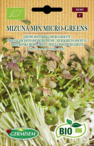 Germisem Bio Graines Chou salade japonaise micro-pousse Mizuna Mix