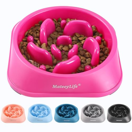 MateeyLife Gamelle Anti Glouton pour Chien - Bol Puzzle Gamelle Anti Glouton Chien Moyen Antidérapant Interactif pour Ralentir l'Alimentation(Rose 20 cm)