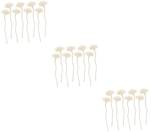 BESTOYARD 3 Sätze Tong-Gras- Rattanstöcke Pflege Jo Diffusor Rattan Natürliches Rattan Duftdiffusoröl Rattan Nachfüllen Duftblume Parfüm Öl-diffusor-Sticks Duftöl Stock Weiß 8 Stück * 3