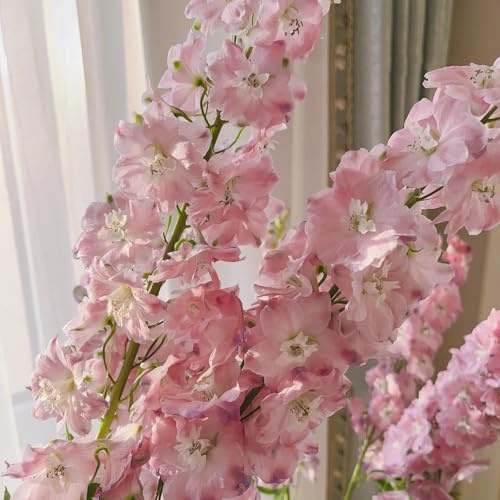 semi di delphinium, delphinium da aiuola rialzata, ombra biologici aiuola resistenti per luoghi soleggiati 30pcs