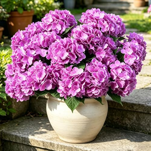Laelfe 3er-Set Groß Hortensien Kunstblumen für Draußen (Fuchsia)