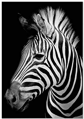 Panorama Lienzo Cebra 35x50cm - Bastidor Incluido - Cuadros Decorativos para Salón - Decoración Moderna