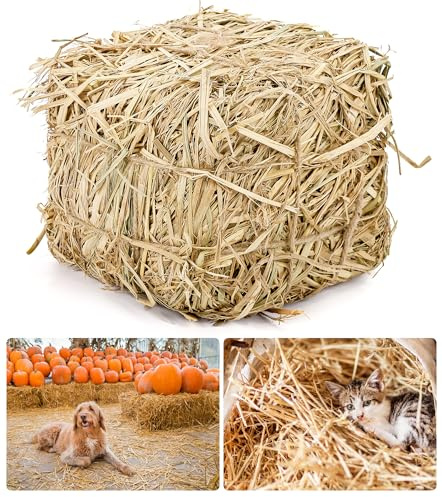 Lengba Natural Straw Bale for Cat Shelter – 8x8x8 (1.6 LB) Soft & Dry Straw Bedding for Cats, Feral Cats & Small Animals | Decorative Hay Bale for Outdoor Use, Farm Décor, Mulch & Pet Bedding