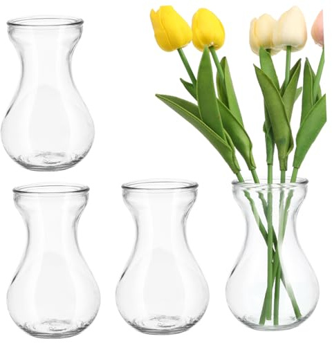 Ciieeo 4Pcs Small Clear Glass Vases for Hydroponics Versatile Bud Vases for Home Office and Garden Decor for Hyacinth Bulbs and Floral Arrangements