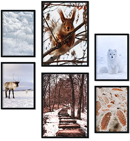 Nacnic - 6 Pósters Fotografía Animales y Nieve - Láminas Decorativas Modernas para Pared del Hogar, Habitación, Collage, Mural - A3 y A4 - Sin marco