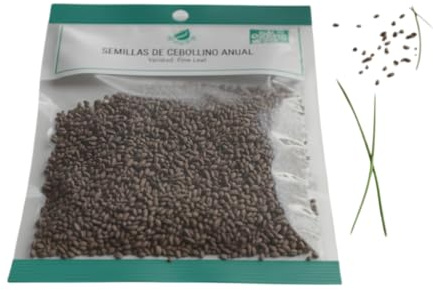 Semillas de Cebollino para Jardín Doméstico y Balcón DECOALIVE