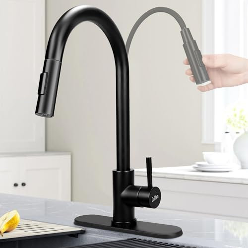 GuiMemi Robinet de Cuisine Moderne Anti-Éclaboussures - Pulvérisateur Extractible à Installation Facile - Robinet d'Évier en Acier Inoxydable avec Plaque de Pont - Tête de Rechange Antirouille