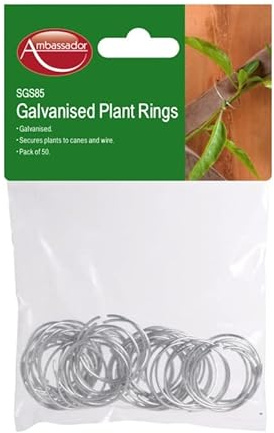 Plant Rings SupaGarden Plant Rings (Pack of 50) Galvanised Plants Rings
