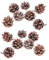 Artibetter 25Pcs Light Brown Pine Cones with White Tips for Christmas Tree Decor, Winter Crafts, Home and Party Decoration (3-4cm)