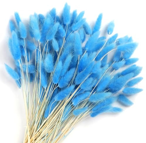 Songjum 120Stück Getrocknete Blumen Hasenschwänze Pampasgras Natürlicher Kaninchenschwanz Getrockneter Blumen Pampasgras Dekor für Wohnkultur Boho Zuhause Dekoration Blumenarrangements（Blau）