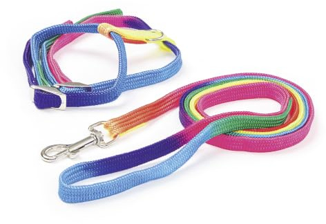 Kerbl Pet Harnais pour Chat Rainbow Multicolore, avec Laisse 120cm