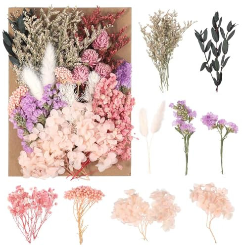 Halinuia Fiori secchi veri, veri fiori secchi naturali veri per fai da te, candela fai da te, artigianato e scrapbooking, cornice per foto, decorazione matrimonio (viola, rosa, rosso)