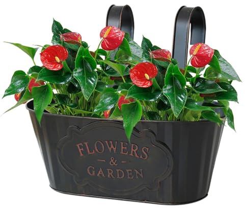 Räcke Blomlåda | Metallblomkrukor - Balkonghängande Blomkrukor - för ägare Trädsmästare Lägenhet Balkong Uteplats Staket TrädPark