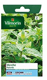 Vilmorin - Sachet graines Menthe poivrée