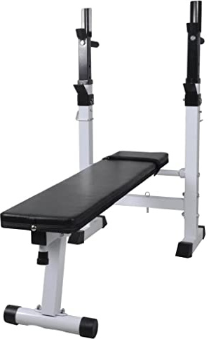 QUAHEAS Panca piatta per pesi in acciaio, regolabile, 120 x 50 x 111 cm, con seduta imbottita, per allenamento di forza, cyclette, fitness, sollevamento pesi, costruzione muscolare, allenamento