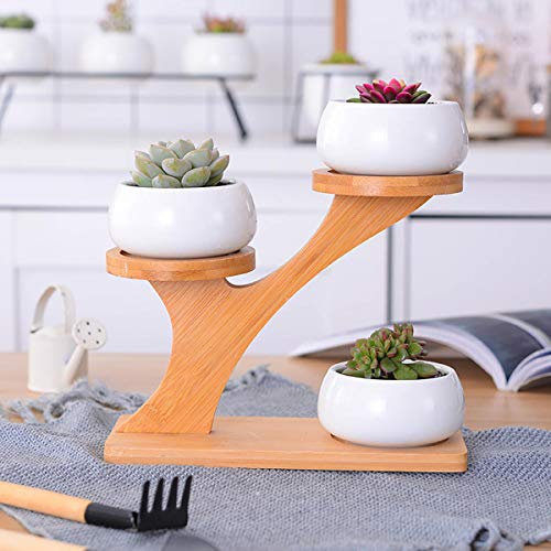 KINGDUO Mini Cactus Suculentas Ollas con 3 Saucers De Bambú De Nivel Stand Cerámica Decorativa con Maceta De Flores