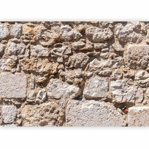 murando - Papier peint panoramique artistique 400x280 cm - Revêtement mural décoration salon - Design moderne - Architecture pierre beige pierre et simplicité texture fond f-B-0141-a-a