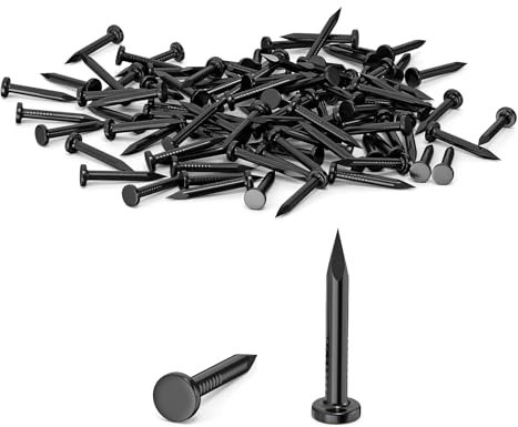 20mm clous en acier (Lot de 100), clous Pour une utilisation sur le béton, clous galvanisés, pour le travail du bois, la brique, possibilité d'utilisation universelle (Noir)