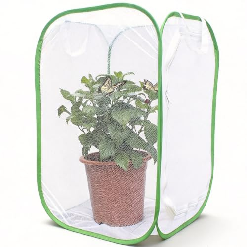 Fjäril livsmiljöbur terrarium, hopfällbart växttält, växtskydd, ventilerad nätbur för frukt, grönsaker, blommor, fågel (40 x 40 x 60 cm)