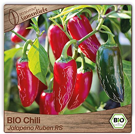 Samenliebe BIO Chili Samen alte Sorte Jalapeno Ruben RS 10 Samen samenfestes Gemüse Saatgut für Gewächshaus Freiland und Balkon BIO Gemüsesamen