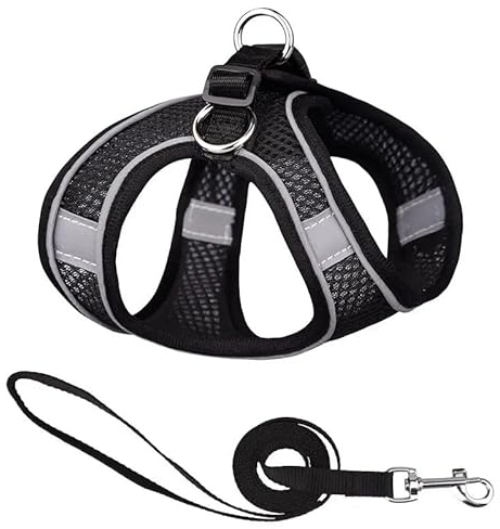 Hundegeschirr mit Leine, Step-in Weich Gepolstert Geschirr Reflektierend, Air-Mesh Atmungsaktiv Brustgeschirr, Welpengeschirr für Kleine Hunde, Haustiere, Welpen, Katzen (schwarz, Größe: M)