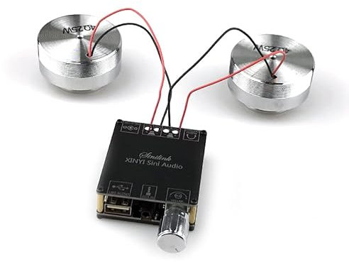 Hi-Fi-förstärkare，Audioförstärkare 2 * 25W Bluetooth-kompatibelt ljud Bärbar Resonance Vibration Högtalare Klass D Effektförstärkare Subwoofer DIY 2.0 HiFi System(50w)