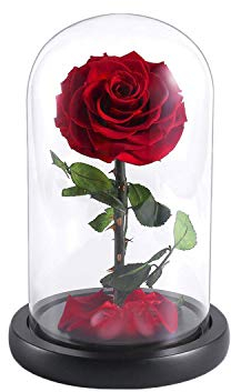 YEPLINS Beauty and the Beast Rose Kit, Forever Rose in the Glass,Romantic Birthday Gifts for Girlfriend