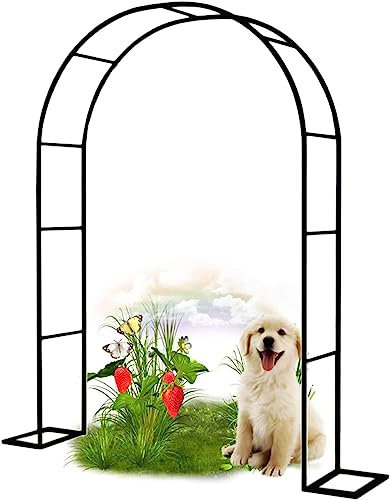 Arche Jardin pour Rosiers Plantes Grimpantes, Metal Arceau à Rosiers, Arche de Rosiers Vigne Mariage, Pergola Tonnelle de Jardin, Intérieur Extérieur Décoration de Fête,300x220x40CM