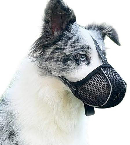 Muselière pour Chien Empêche de Mâcher/Manger/Mordre, Respirante, Réfléchissante et Ajustable, Anti-Morsure (Noir-XL)