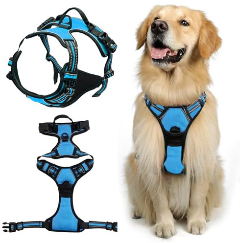 DKDDSSS Hundegeschirr, Geschirr Hund, Hundegeschirr Mittelgroße Hunde, Anti Zug Hundegeschirrr, Geschirr für Hunde, Brustgeschirr für Labrador, Einfache Anpassung und Benutzung, Atmungsaktiv (Blau M)