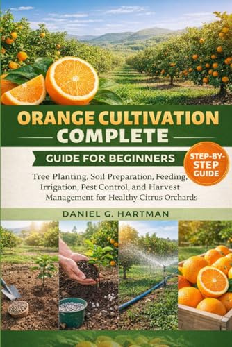 Orange Cultivation Complete Guide for Beginners: Tree Planting, Soil Preparation, Feeding, Irrigation, Pest Control, and Harvest Management for Healthy Citrus Orchards