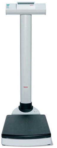 seca 703 High Capacity Column Scale with Wireless Transmission