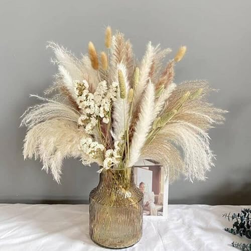 79pcs Natural Dried Pampas Grass Decor Fluffy Dried Flowers Bouquet for Home Decor, Bunny Tail Grass, Pampas Grass Boho Decor, DIY Dried Flowers Decoration for Wedding Boho Home Decor