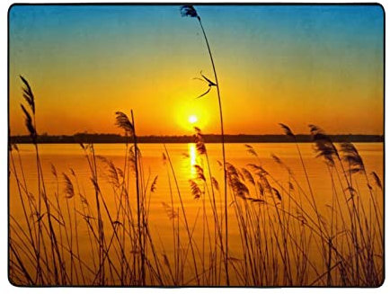 Reeds by The River Printed Flannel Carpet, 63x48 Inches, Soft Anti Slip Floor Mat, Dormitory Plush Carpet, Living Room Carpet for Home Decoration.