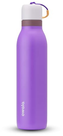 Owala FreeSip Twist Insulated Stainless Steel Water Bottle with Straw for Sports and Travel, 710ml, Purple, Purple (California Grapevine)